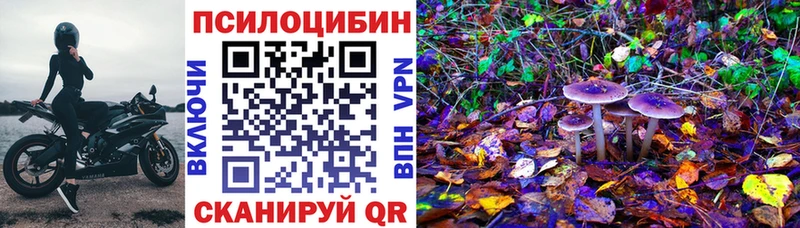 Галлюциногенные грибы Psilocybine cubensis  как найти наркотики  Старый Оскол 