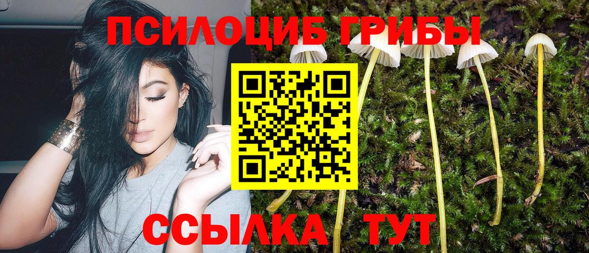 Псилоцибиновые грибы мухоморы Старый Оскол